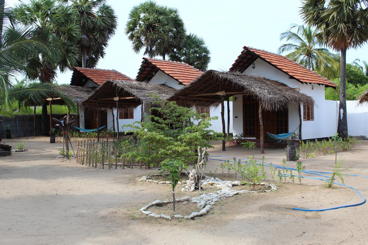 Margarita Kitesurfing School Sri Lanka Otel Kalpitiya Dış mekan fotoğraf